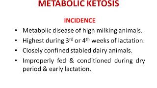 Metabolic Ketosis in Cattle amp Buffaloes [upl. by Helga]