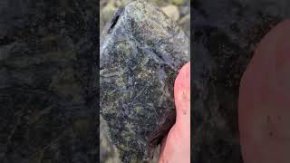 rockhounding rocks serpentine bowenite antigorite rockhounds coolrock rockhound nature [upl. by Mcallister]