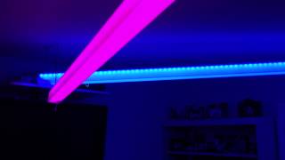 Led Strip Lights in Plexiglass at Corals Room [upl. by Eniamurt]