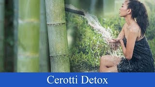 Cerotti Detox Purificare il corpo in modo naturale  MIRA [upl. by Kirsti]