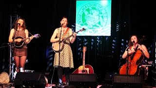 The Mae Trio  Maldon Folk Festival 2016  quotMr Moonquot [upl. by Niu]