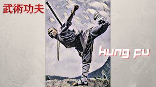 KUNG FU BASTÃO MOVIMENTOS DE WUSHU shorts [upl. by Clemence680]