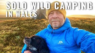 Solo Wild Camping In Wales  Radnor Hills [upl. by Heindrick]