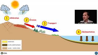 Le cycle des roches sédimentaires par Yann Hautevelle [upl. by Wellesley670]