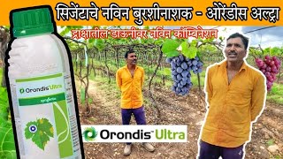 Orondis Ultra ओरेंडिस अल्ट्रा  द्राक्ष पिकातील डाऊनी साठी प्रभावी बुरशीनाशक syngenta [upl. by Snebur]