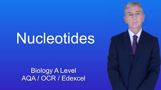 213 Nucleotides and Nucleic acids d ii Practical investigation into the purification of DNA [upl. by Vinnie]