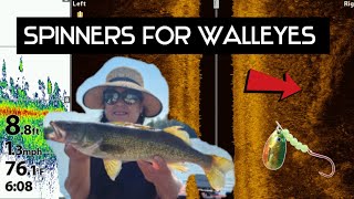 SMASHING summertime walleyes NO LIVESCOPE NEEDED [upl. by Sanford]