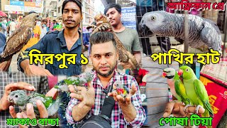 মিরপুর ১ পাখির হাট  টিয়া পাখির দামআফ্রিকান গ্রে ম্যাকাও পাখি এসেছেMirpur 1 Pakhir Haat 2023 [upl. by Zephaniah904]