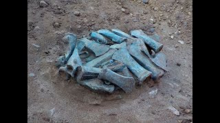 Revealing a Late Bronze Age Enclosure The Havering Hoard [upl. by Rosalee872]