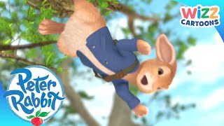 Peter Rabbit 2018  No Guts No Glory Scene 310  Movieclips [upl. by Obidiah]