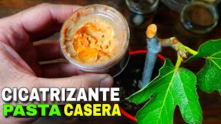 👉Cómo hacer un CICATRIZANTE Natural CASERO🌹 Paso a Paso [upl. by Cahn]