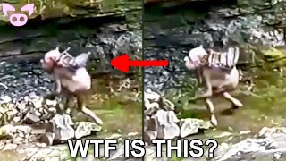 Creepy Stuff Caught on Camera You Wont Believe [upl. by Rivi]