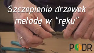 Szczepienie drzewek metodą w quotrękuquot [upl. by Danyette]