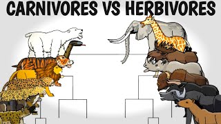 CARNIVORES VS HERBIVORES TOURNAMENT  ANIMATION [upl. by Marvin]