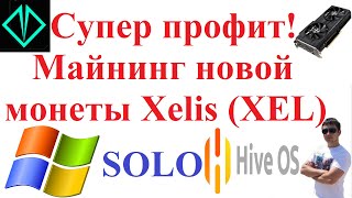 Супер профит Майнинг новой монеты Xelis XEL в Hive OS и Windows [upl. by Vergne]