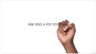 How does a COVID19 PCR test work [upl. by Nomit]