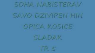 OPICA KOSICE SOHA NABISTERAV ROMANE GILA TR 5 [upl. by Macfarlane609]