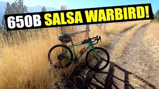 650B SALSA WARBIRD [upl. by Layman]