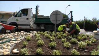 Clip Unep Métier jardinier paysagiste [upl. by Nosnaj]