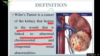 Wilms tumor or Nephroblastoma [upl. by Hanid]