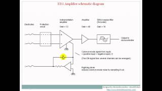 Understanding EEG Part8 EEG Localization and amplifiers What is electroencephalography EEG [upl. by Lot]