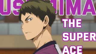 Wakatoshi Ushijima quotThe Super Acequot  Haikyuu Character Analysis [upl. by Enaasiali970]