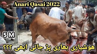 Anari Qasai 2022  Eid UL Azha [upl. by Gnort]