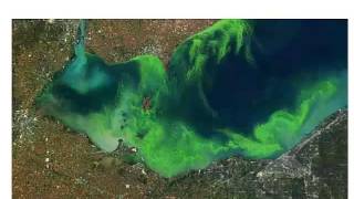 Nitrogen Mineralization Short and Long Term Considerations D Sullivan [upl. by Azilem62]