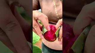 The process of cutting the fruits of an edible cactus [upl. by Hagerman698]