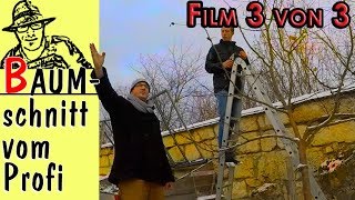 So machts der Profi Obstbaumschnitt Film 3 von 3 [upl. by Yona723]