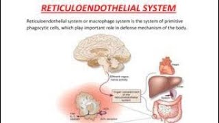 Mnemonics to remember Cells of the reticuloendothelial system and their location [upl. by Ttereve712]