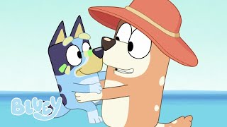 The Beach  Full Episode  Bluey [upl. by Mordy]