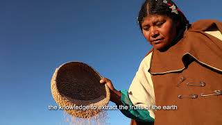 UruChipaya Bolivia  Cultura precolombina [upl. by Alberik]