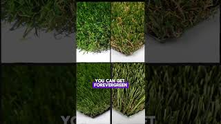 PFAS Free Artificial Grass Waterefficient synthetic turf install  How to install artificial grass [upl. by Wooster]