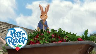 Peter Rabbit  The Radish Robbers  Cartoons for Kids [upl. by Selima]