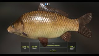 Russian Fishing 4 RF4 Lac cuivré  TROPHY F1 BLEU 4315kg [upl. by Atel678]