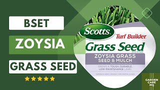 Top 5 Best Zoysia Grass Seed 2024 Updated [upl. by Ikcir]