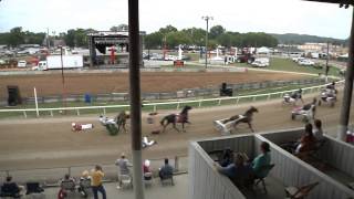 Loose Horses on the Harness Racing Track Big Wreck [upl. by Mercer]