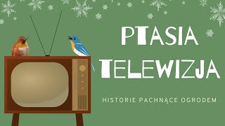 Ptasia telewizja  Historie Pachnące Ogrodem  Bajki Jak Dawniej [upl. by Baggs865]