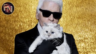 Karl Lagerfeld  Wird das Kätzchen Choupette sein Vermögen erben [upl. by Earehc203]