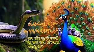 Peacock and snake contest  moral kahani  Bachon ki Hindi Urdu kahaniyan  cartoon  Animated story [upl. by Asinla373]