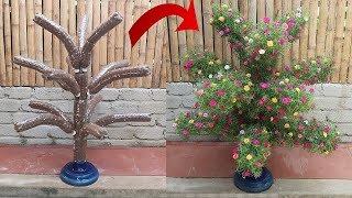 Creative Garden Ideas  DIY beautiful Portulaca Mossrose plant shaped garden from plastic bottles [upl. by Hafeetal]