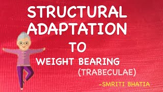 STRICTURAL ADAPTATION TO WEIGHT BEARING trabeculae system in detail [upl. by Douglas]