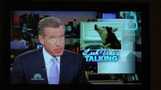 Mishka on NBC Nightly News Behind the Scenes Story [upl. by Epilif]