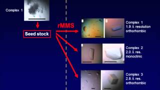 Protein crystallization using random Microseed Matrix Screening a brief introduction [upl. by Amsirak255]