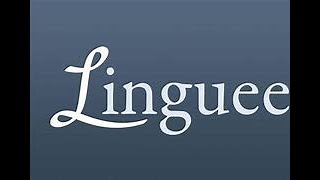 O Site Tradutor De Idiomas Linguee [upl. by Onitsuaf911]