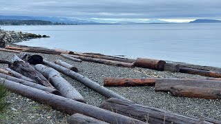 Auf wiedersehen Qualicum Beach [upl. by O'Malley]