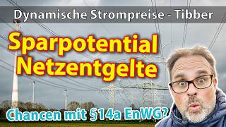 §14a EnWG  Beachtliches Sparpotential in Kombination mit dynamischen Strompreisen wie tibber [upl. by Mcclenaghan]