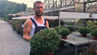 Mixed Fall Planters and Mums at Our Nursery Early Autumn [upl. by Oedama582]