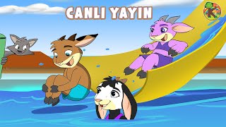 Türkçe  Çizgi Film amp Çocuk Masalları  CANLI YAYIN  KONDOSAN [upl. by Eetnuahs]